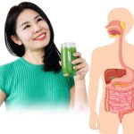 Virechana (Purgation Therapy) Virechana (Purgation Therapy)